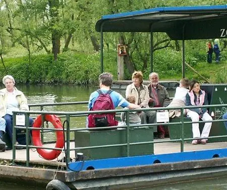 Hiltje - To * 多德雷赫特