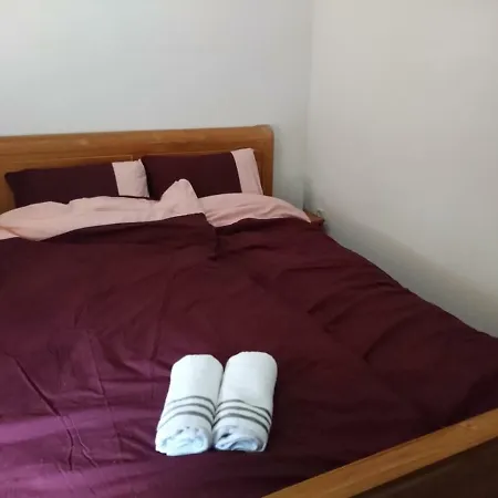 Hiltje - To * 多德雷赫特